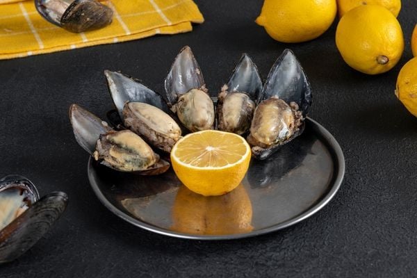 Midye Dolma Sıcak mı Soğuk mu Yenmeli?