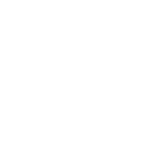 MİDYE    ÇEŞİTLERİ